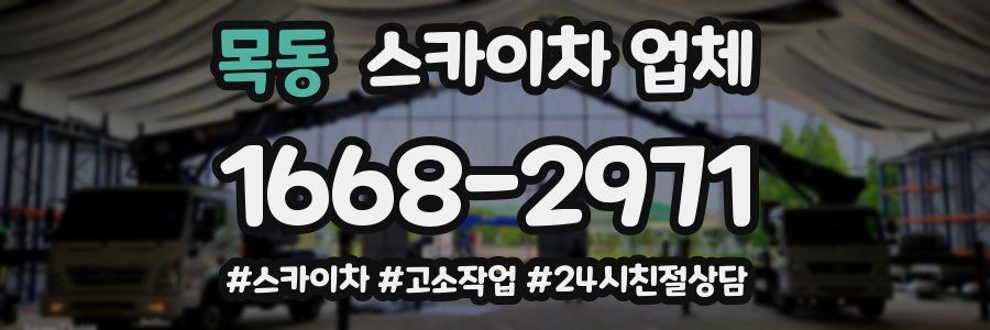 목동 스카이차 업체