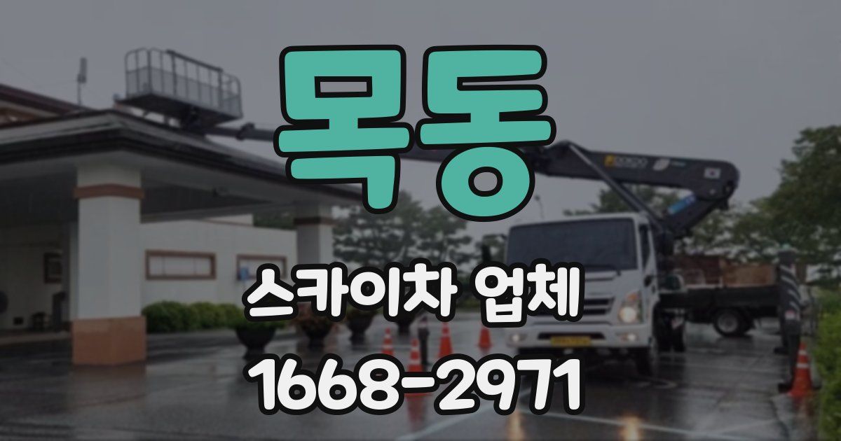 목동 스카이차 업체