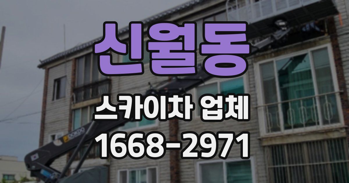 신월동 스카이차 업체