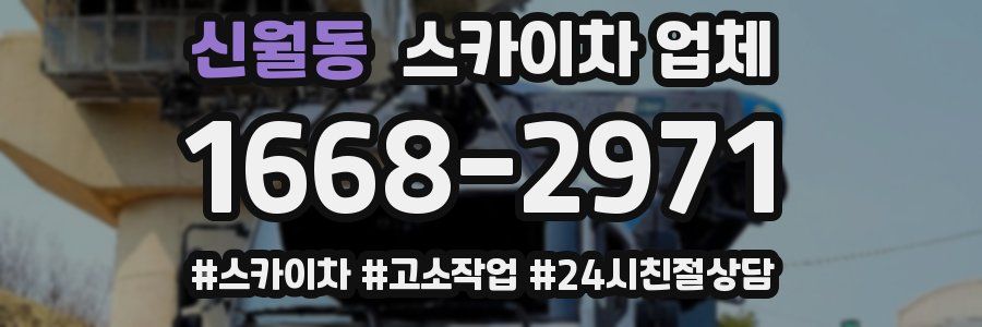 신월동 스카이차 업체
