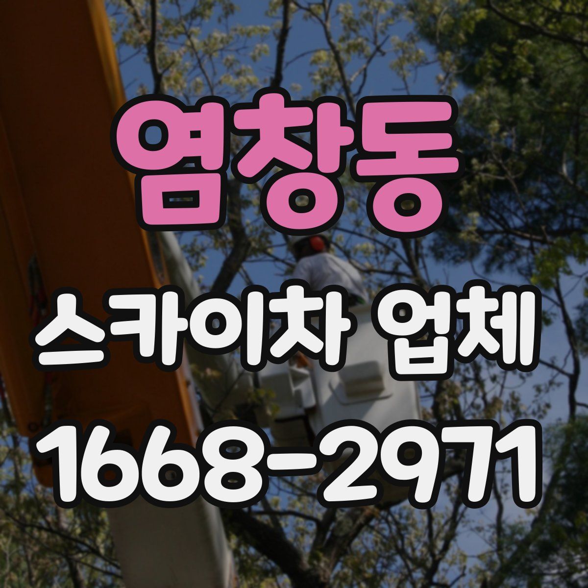 염창동 스카이차 업체