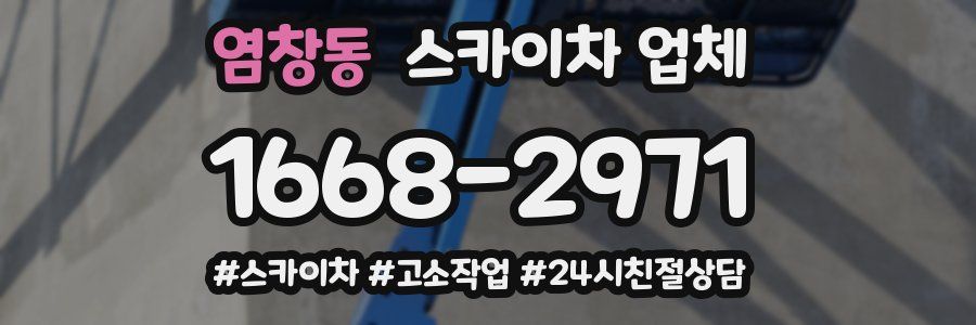 염창동 스카이차 업체