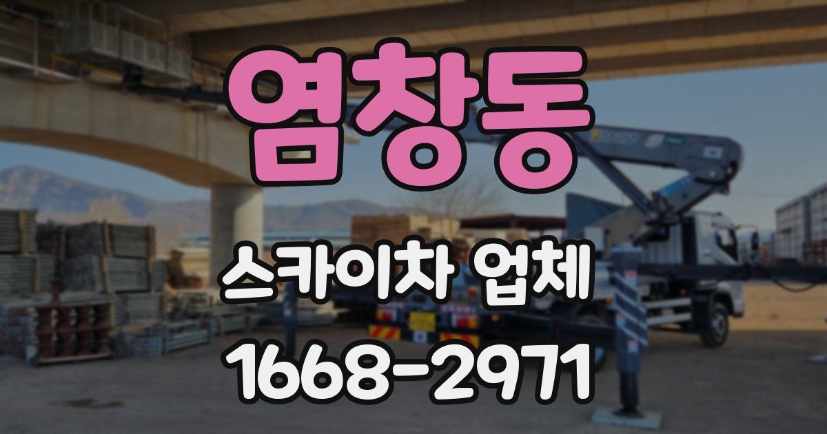염창동 스카이차 업체