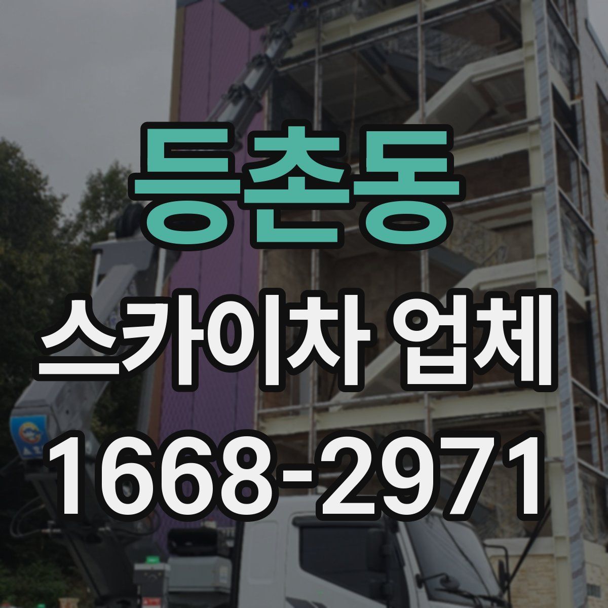 등촌동 스카이차 업체