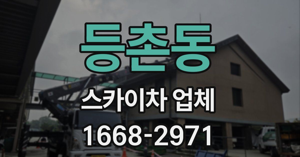 등촌동 스카이차 업체