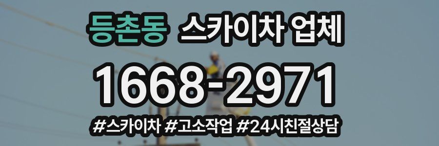등촌동 스카이차 업체