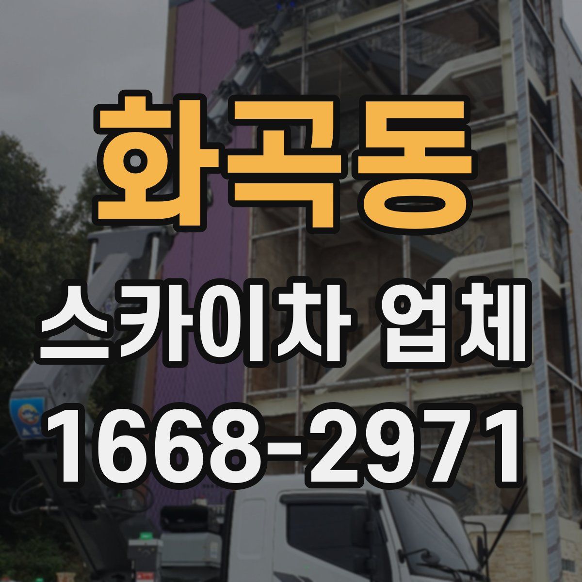 화곡동 스카이차 업체