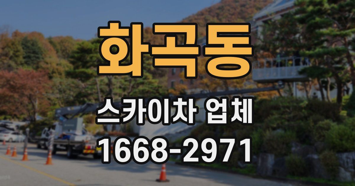 화곡동 스카이차 업체