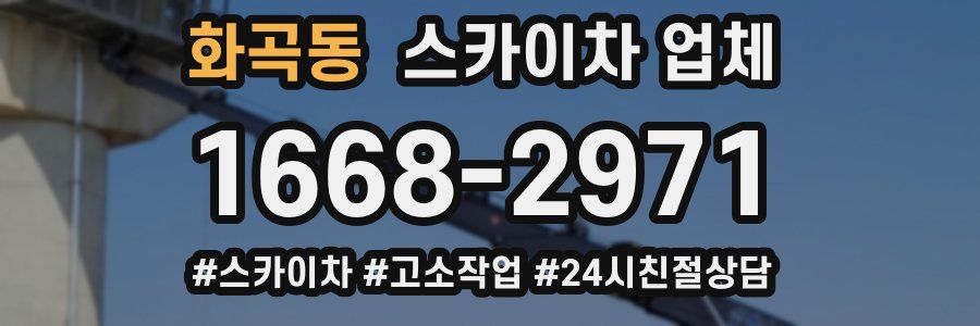 화곡동 스카이차 업체