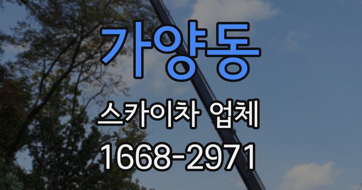 가양동 스카이차 업체