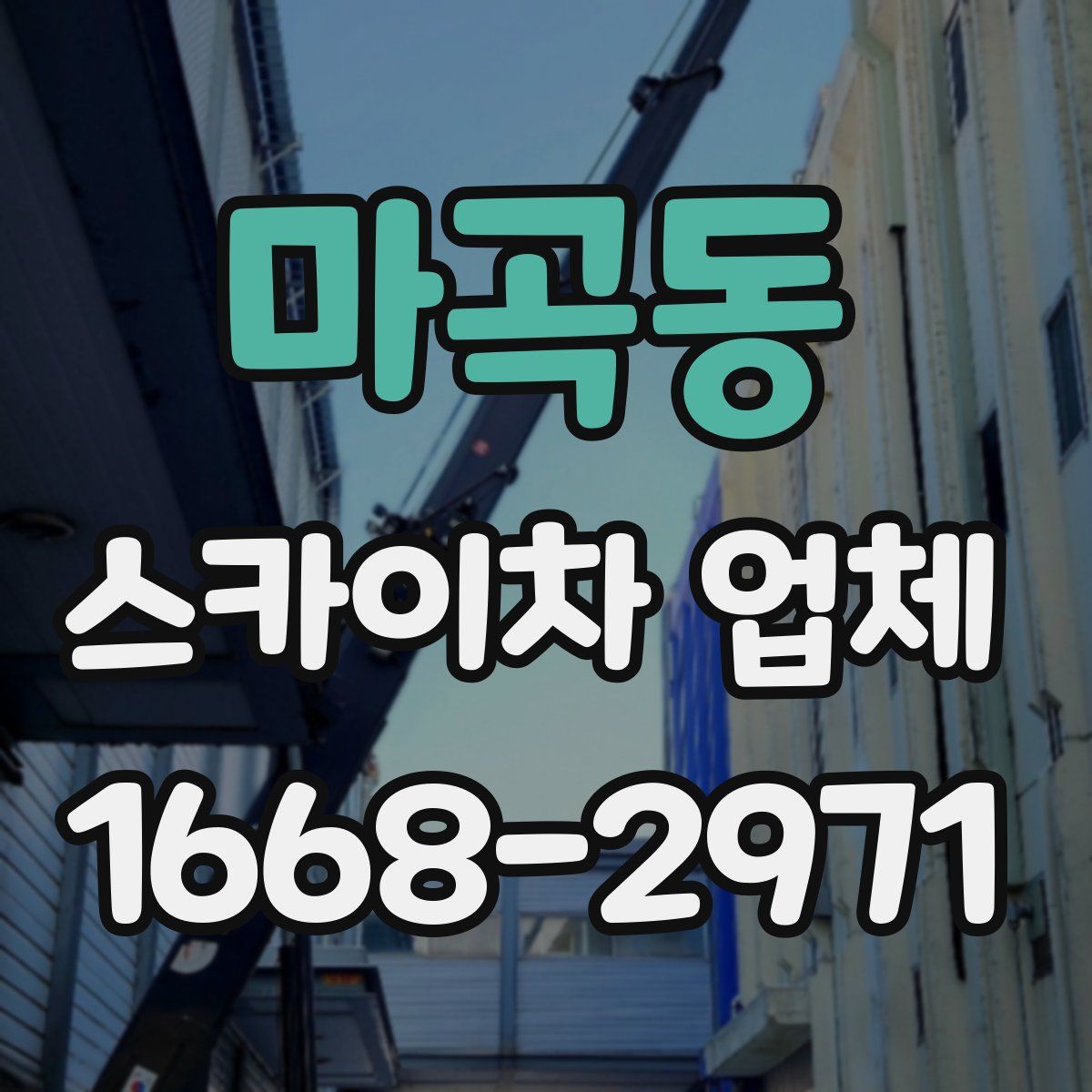 마곡동 스카이차 업체