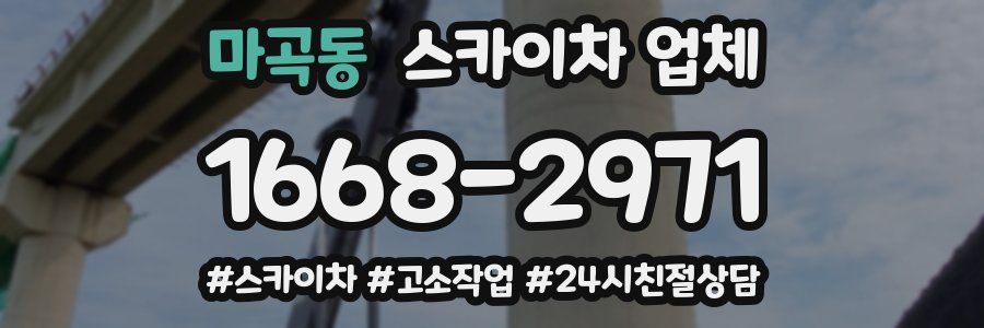 마곡동 스카이차 업체