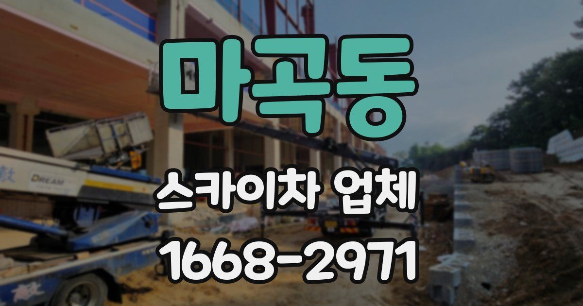 마곡동 스카이차 업체