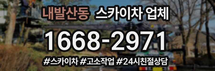 내발산동 스카이차 업체