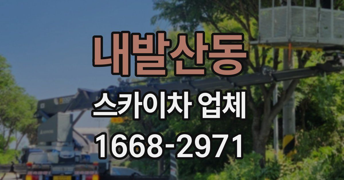 내발산동 스카이차 업체