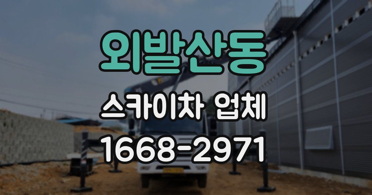외발산동 스카이차 업체