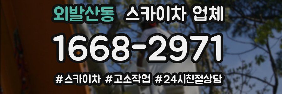 외발산동 스카이차 업체