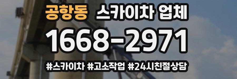 공항동 스카이차 업체