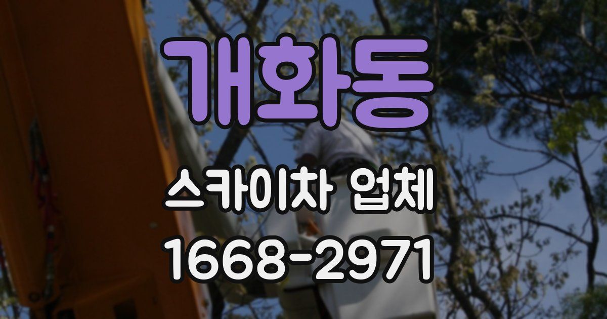개화동 스카이차 업체