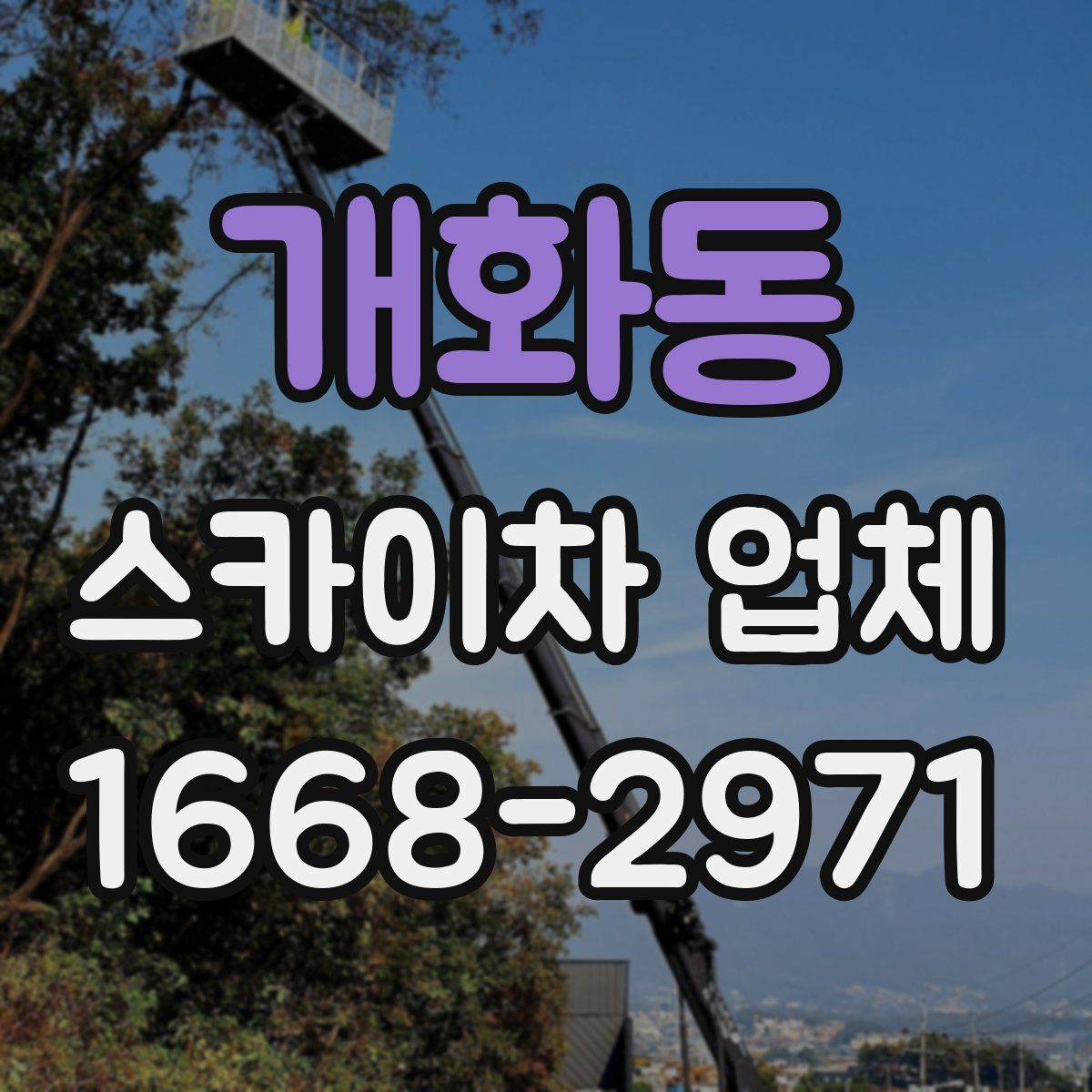 개화동 스카이차 업체