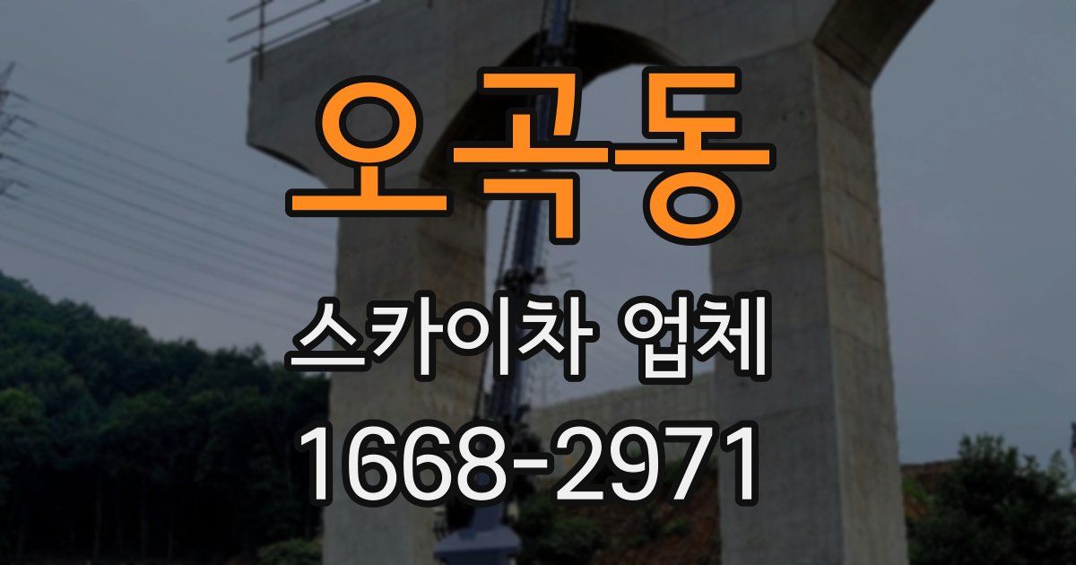 오곡동 스카이차 업체