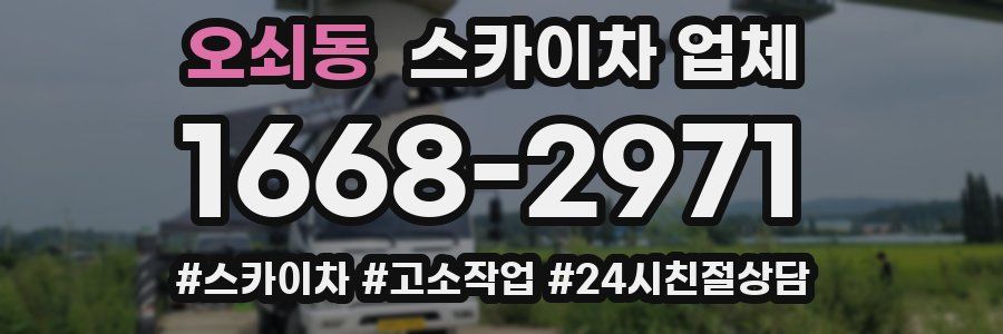 오쇠동 스카이차 업체
