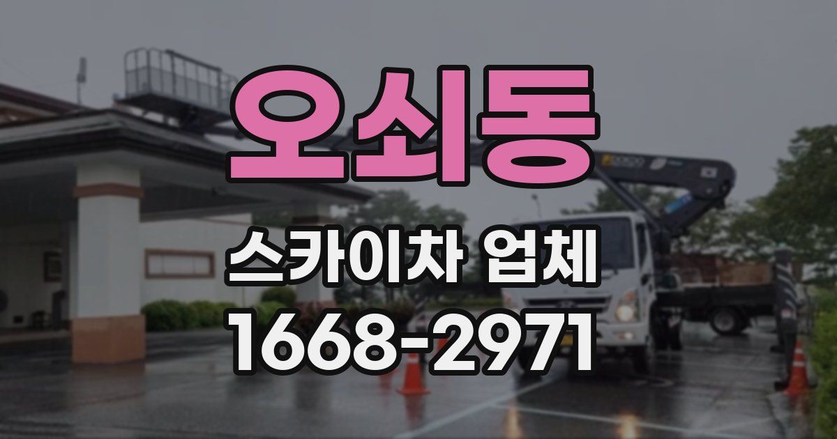 오쇠동 스카이차 업체