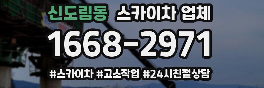 신도림동 스카이차 업체