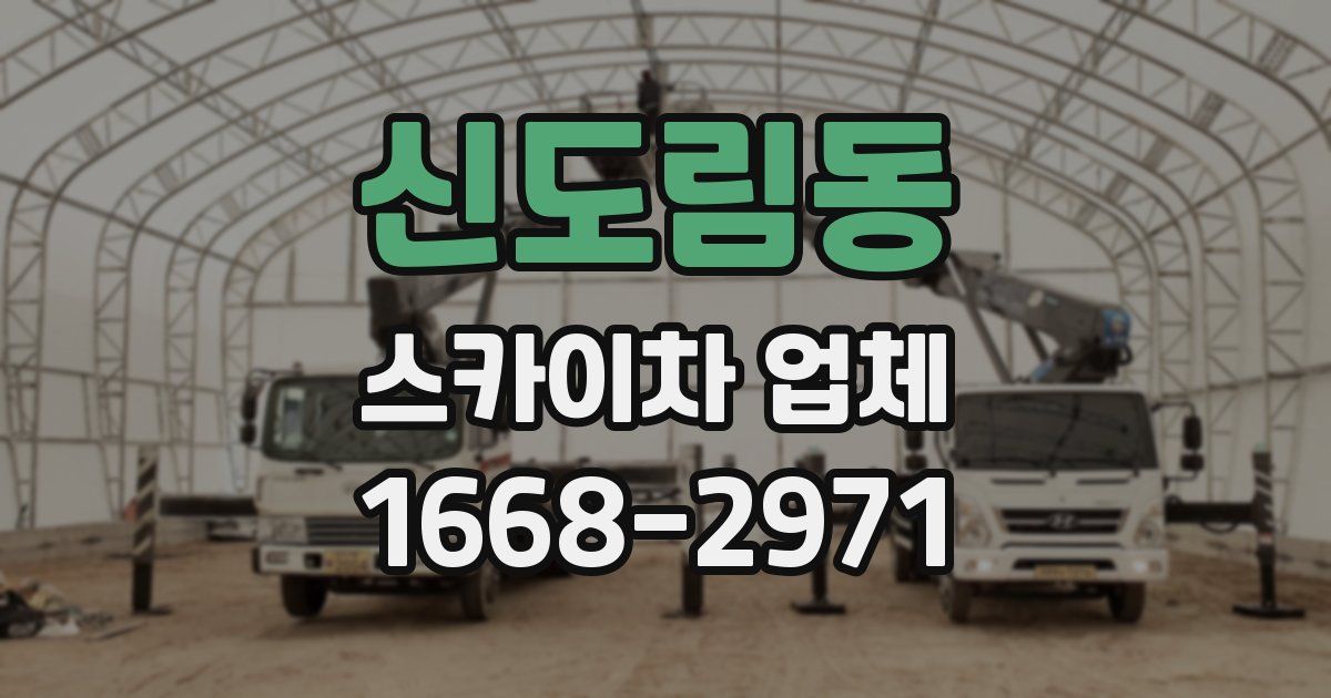 신도림동 스카이차 업체