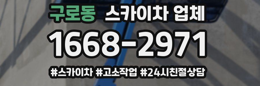 구로동 스카이차 업체