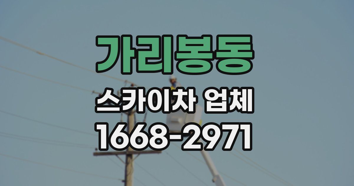 가리봉동 스카이차 업체