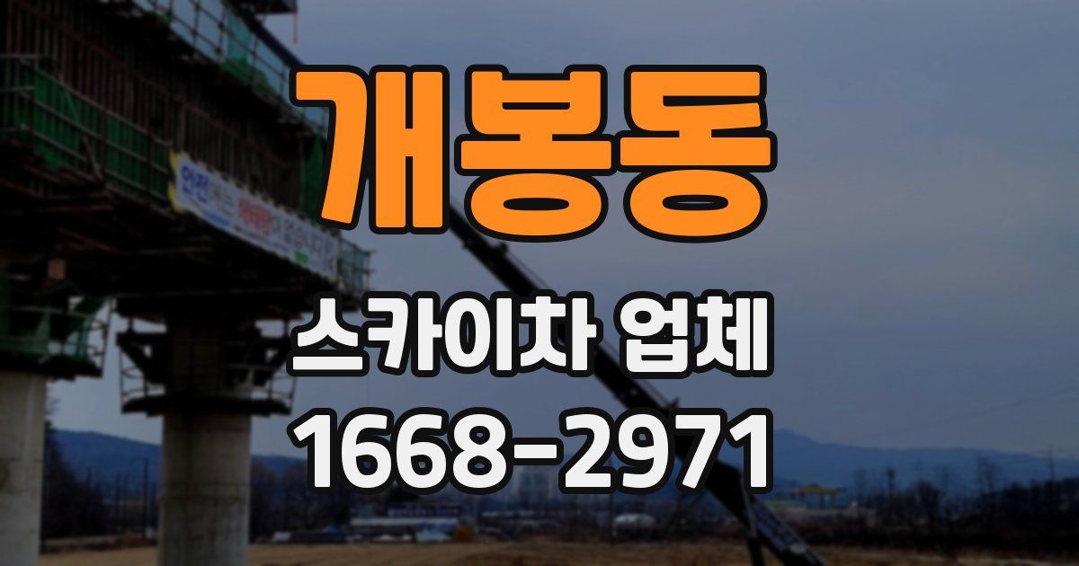개봉동 스카이차 업체