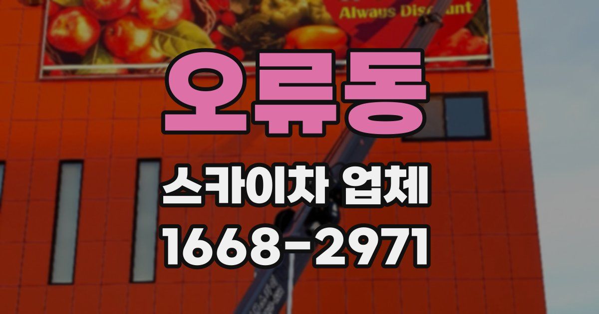 오류동 스카이차 업체