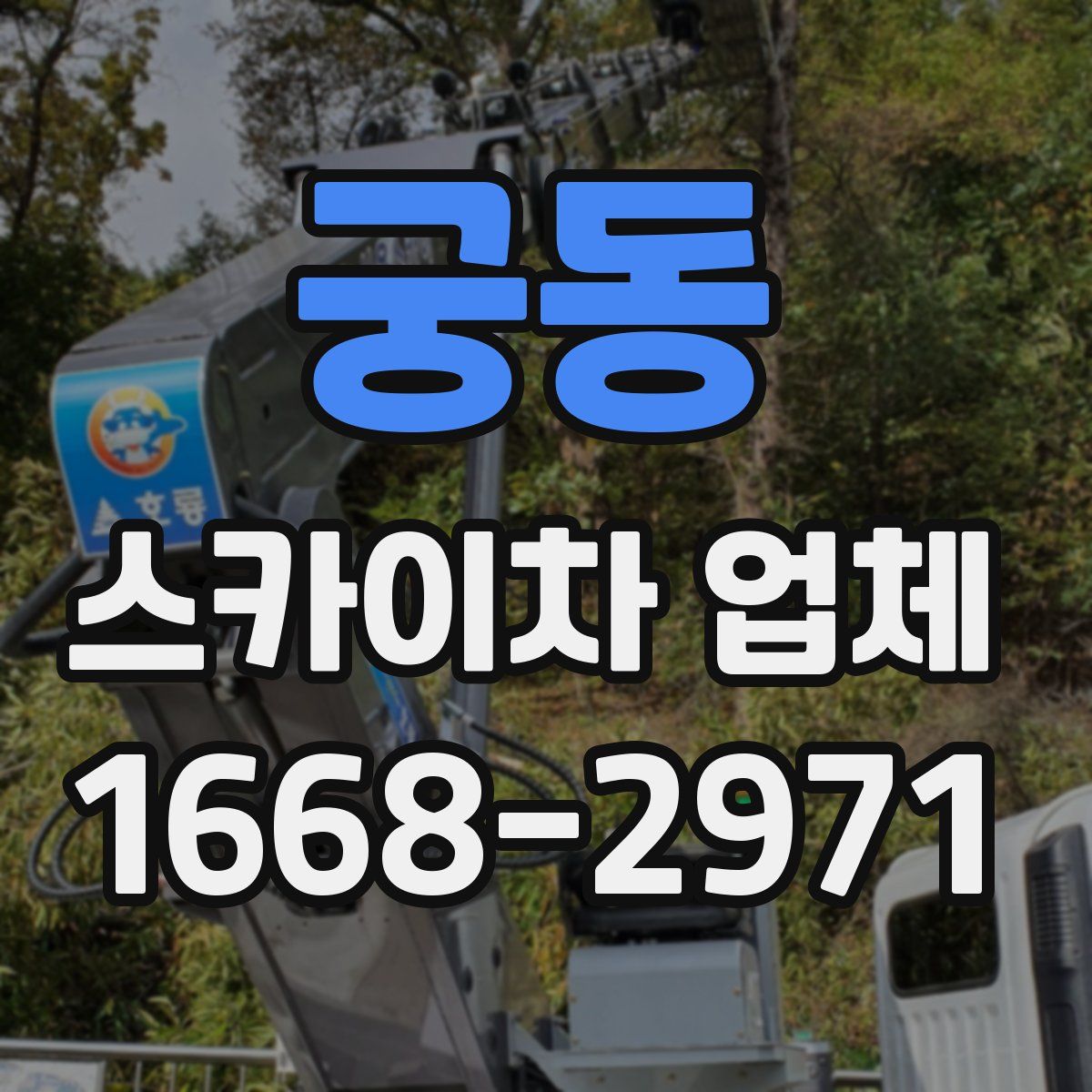 궁동 스카이차 업체