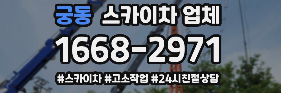 궁동 스카이차 업체