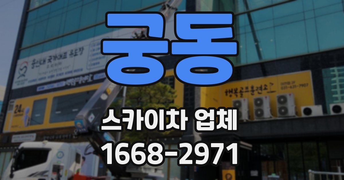 궁동 스카이차 업체