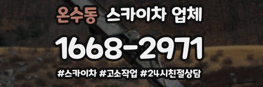 온수동 스카이차 업체
