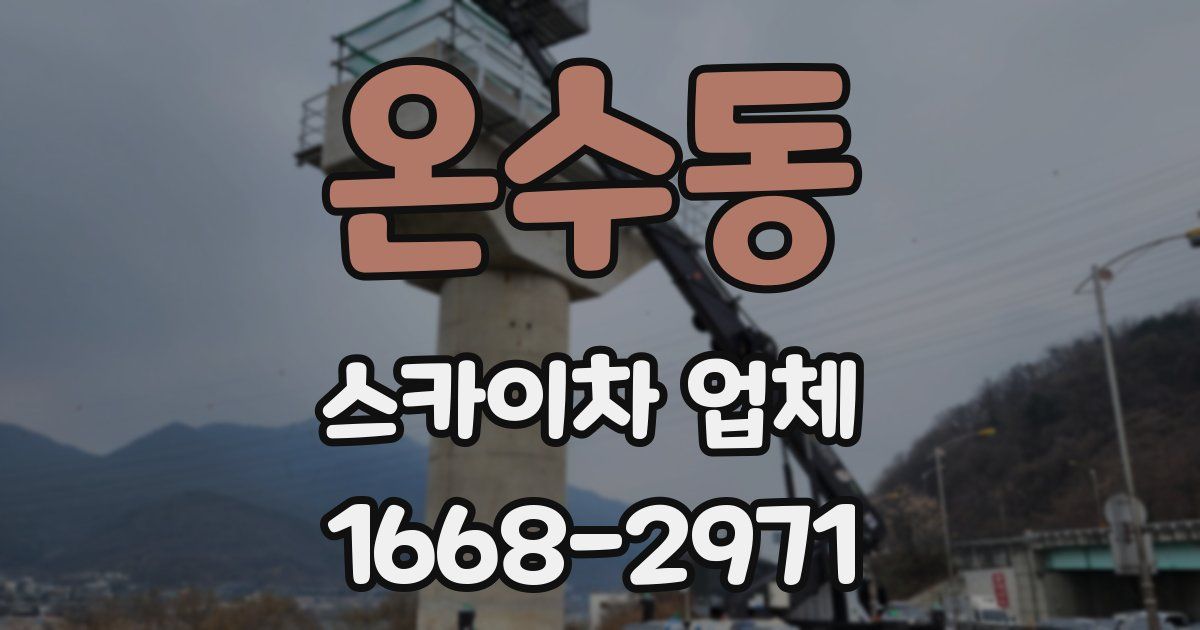 온수동 스카이차 업체