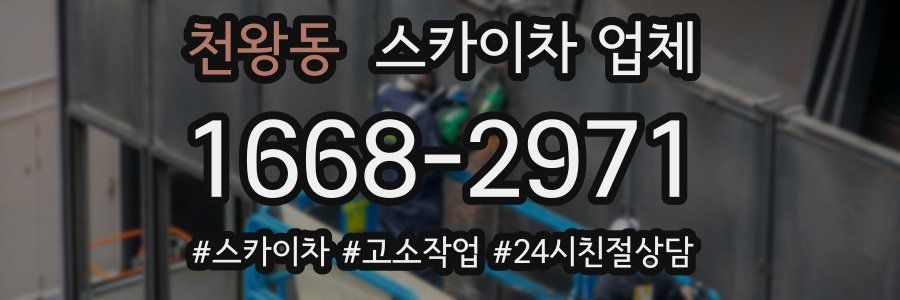 천왕동 스카이차 업체
