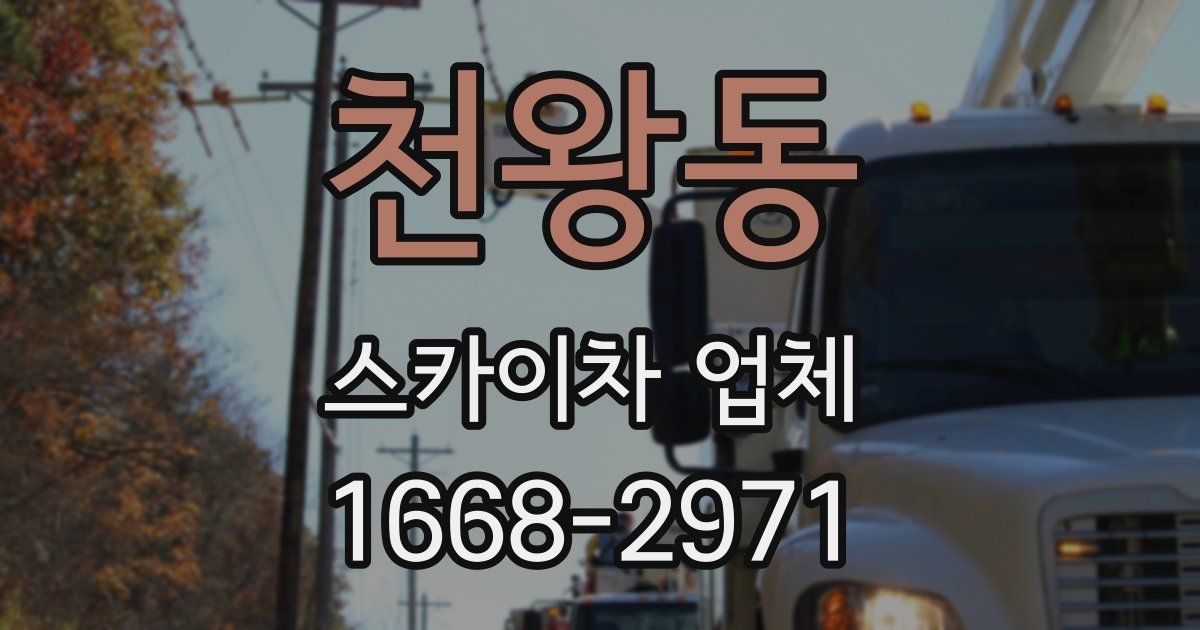 천왕동 스카이차 업체