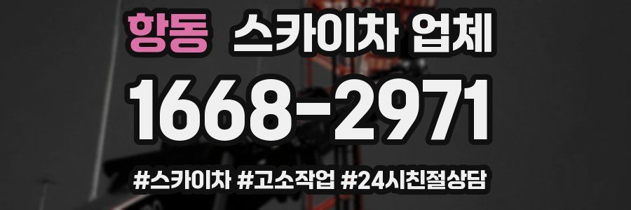 항동 스카이차 업체