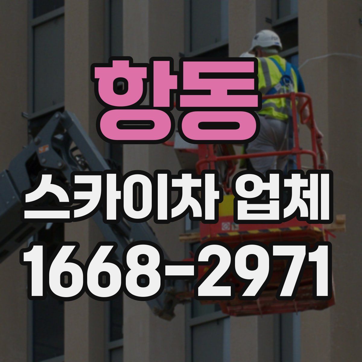 항동 스카이차 업체