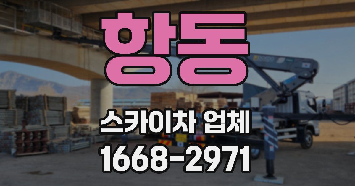 항동 스카이차 업체