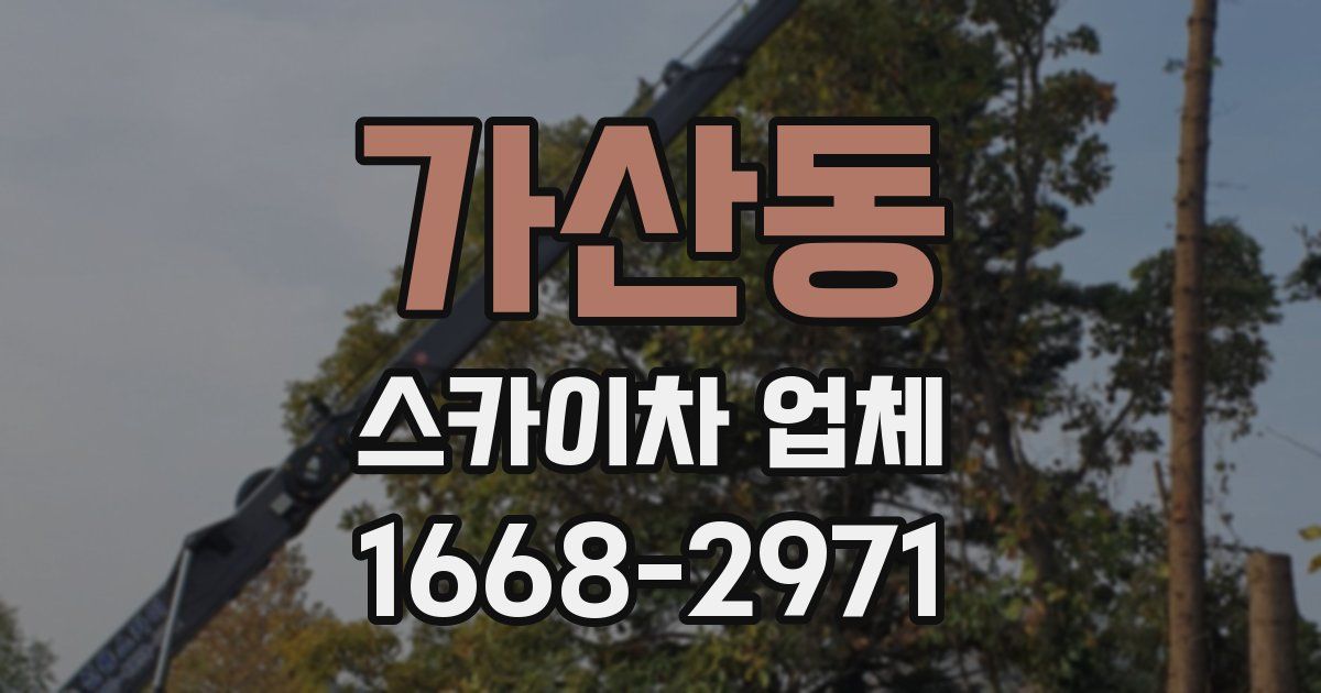 가산동 스카이차 업체