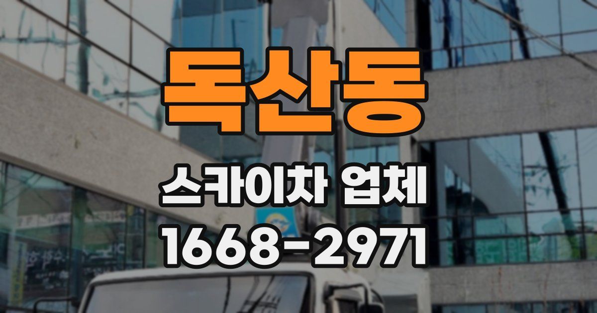 독산동 스카이차 업체