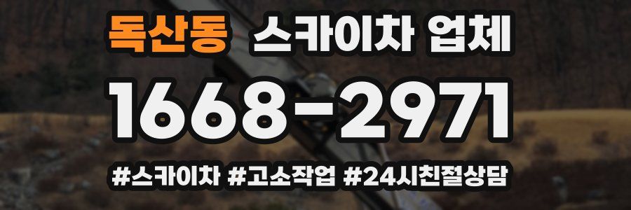 독산동 스카이차 업체