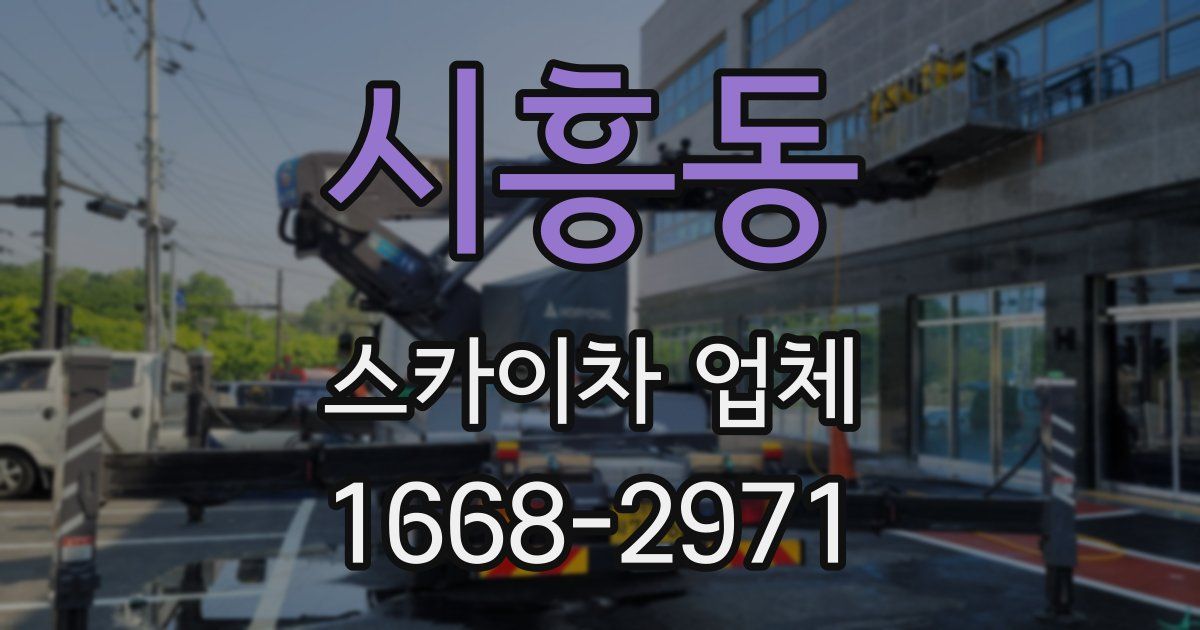 시흥동 스카이차 업체