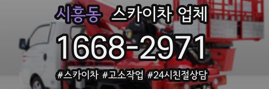 시흥동 스카이차 업체