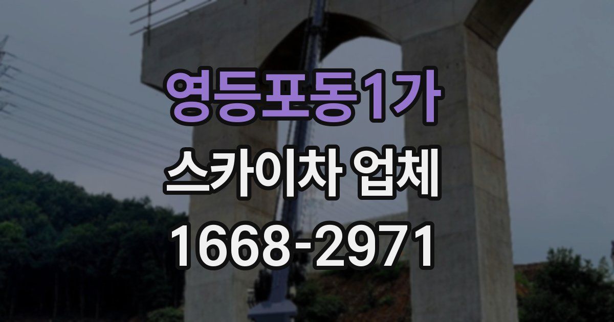 영등포동1가 스카이차 업체
