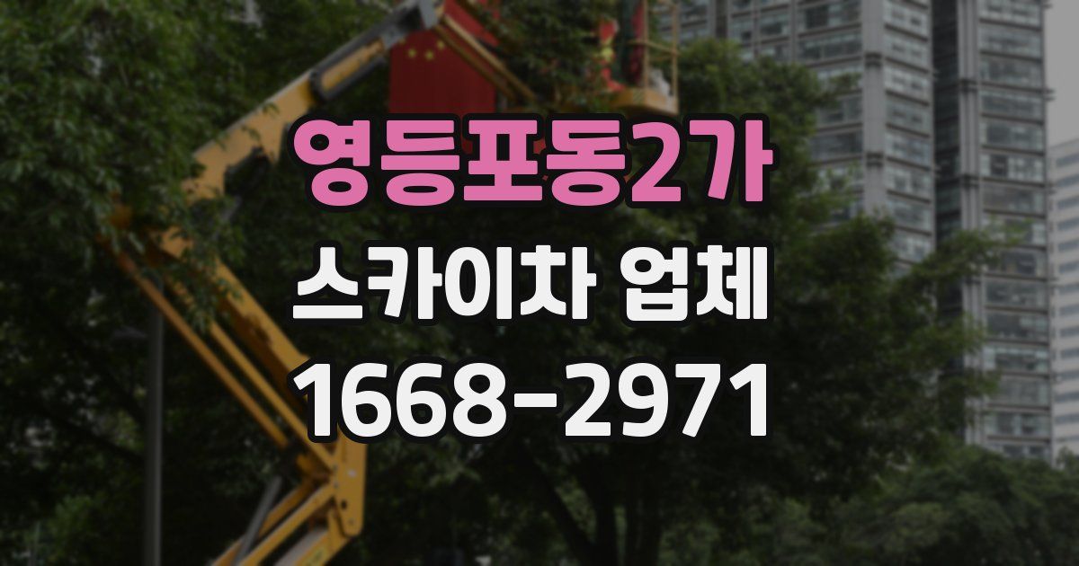 영등포동2가 스카이차 업체